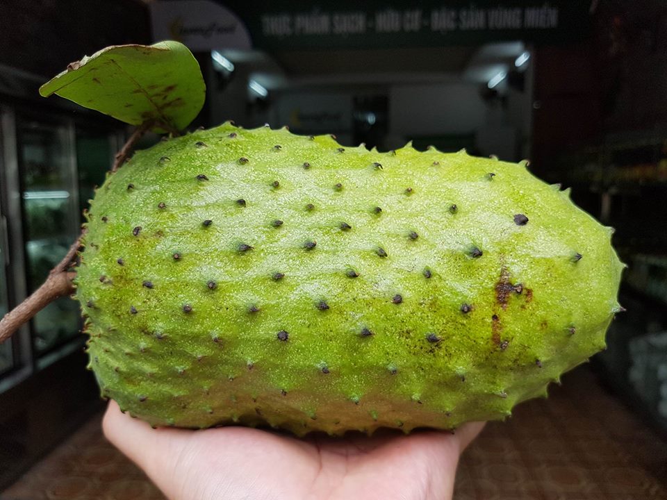 Soursop