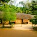 Sen Village: A Glimpse into the Birthplace of a Great Leader 43 vno20kimlien202 o6n6xrk