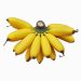 vno banana1
