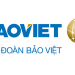 All-in-one Guide to Travel Insurance: Your Key to a Safe Vietnam Trip 2 vno baoviet