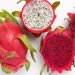 vno dragon20fruit
