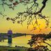 Dau Tieng Lake: A Tranquil Oasis in Vietnam 5 vno dt2 27qufdd