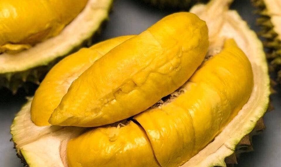 Durians: A Unique and Divisive Fruit 2 vno durians