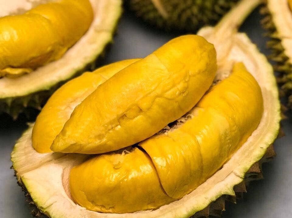 Durians: A Unique and Divisive Fruit 3 Photo: baochinhphu.vn