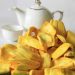 vno jackfruit4