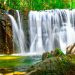 Tranh Stream: Discover the Untamed Beauty of Phu Quoc 5 vno tw 2