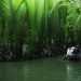 Vam Ho Bird Sanctuary: A Haven for Nature Lovers 6 vno vh1